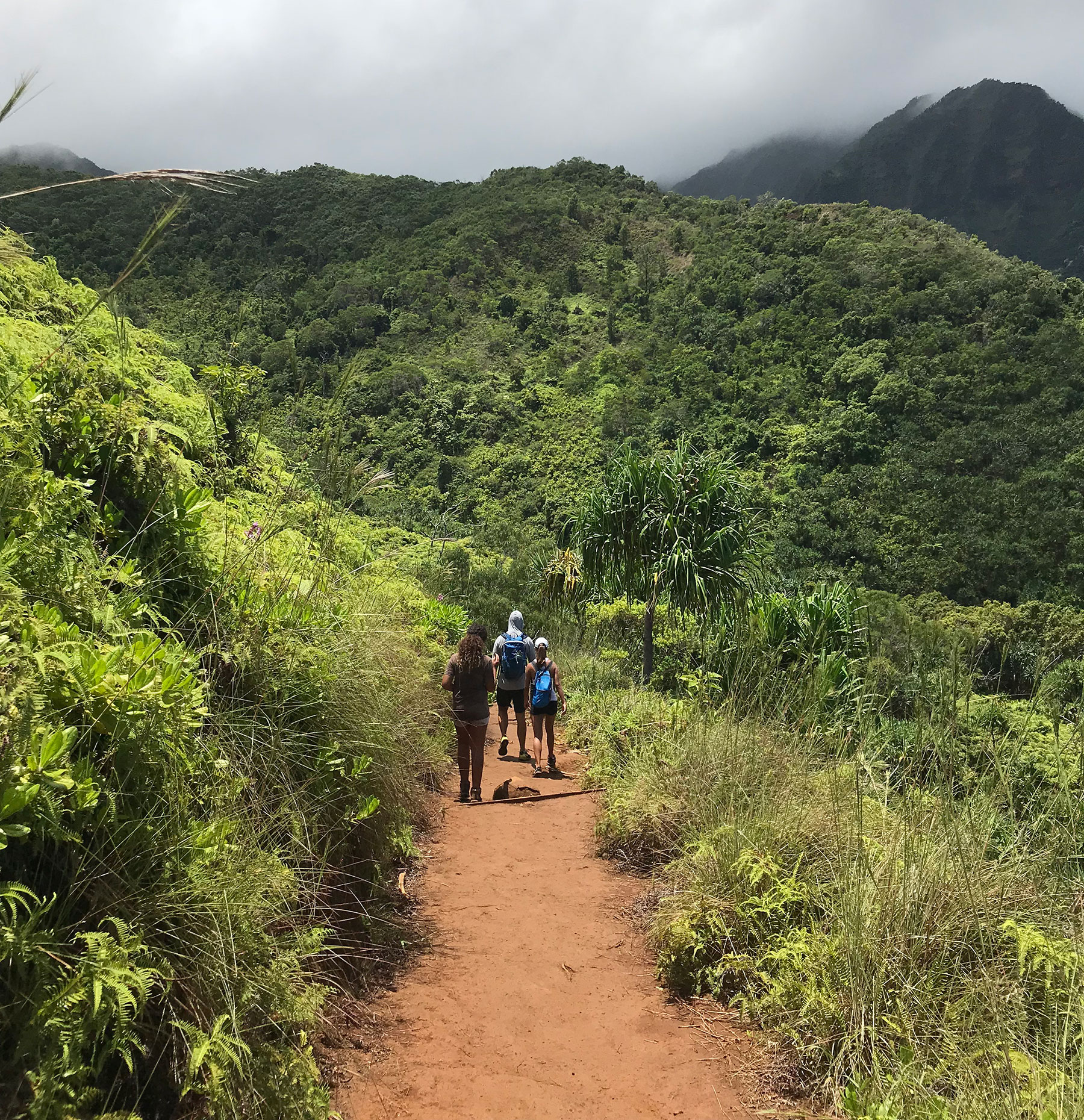 Hiking along the trail to Hanakapiai beach on Kauai